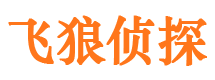 镇雄侦探公司